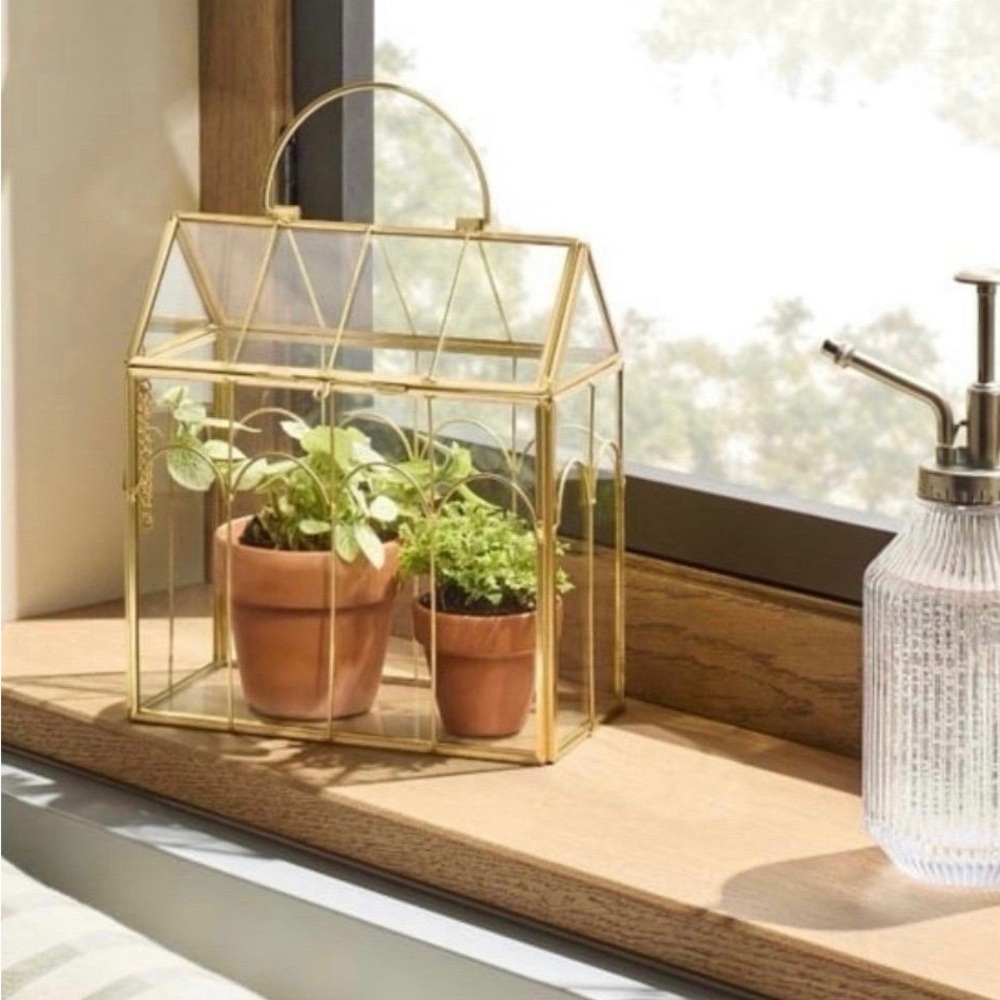 Scalloped Brass Decorative Glass Greenhouse Small - Hearth & Hand Magnolia